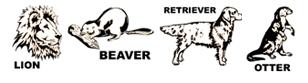 lion otter beaver golden retriever test pdf