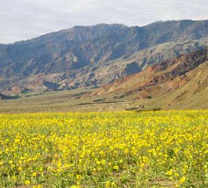 climate_control_death_valley