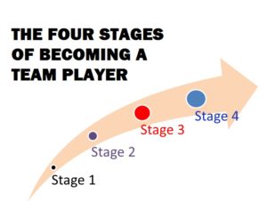 four stages of becoming a team player