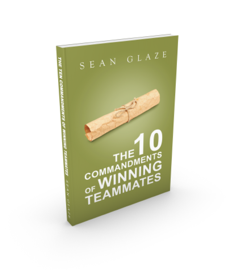 commandments teammates books for great results team building